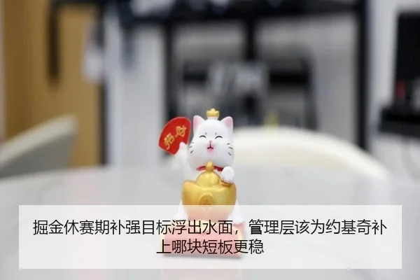 掘金休赛期补强目标浮出水面，管理层该为约基奇补上哪块短板更稳